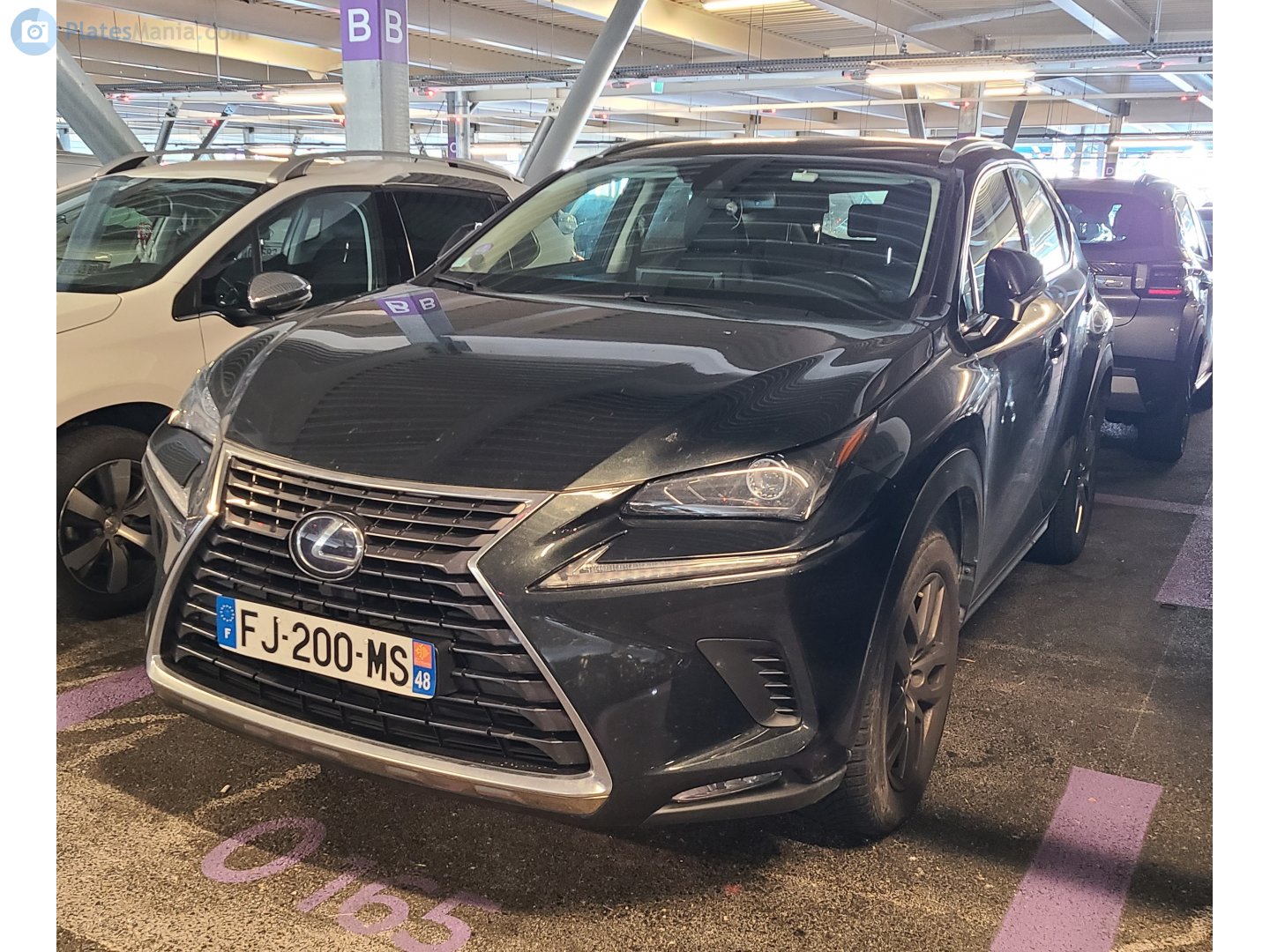 FJ-200-MS, Lexus NX 1st gen (AZ10), facelift, 2017–2021
