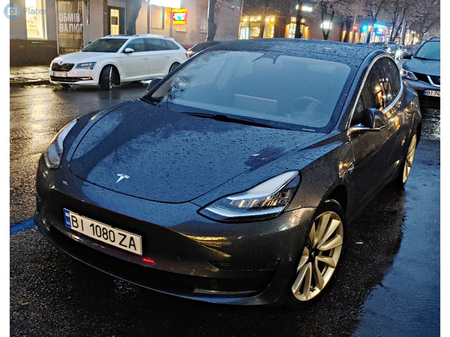 BI 1080 ZA, Tesla Model 3 1st gen (5YJ3), 2017–2023