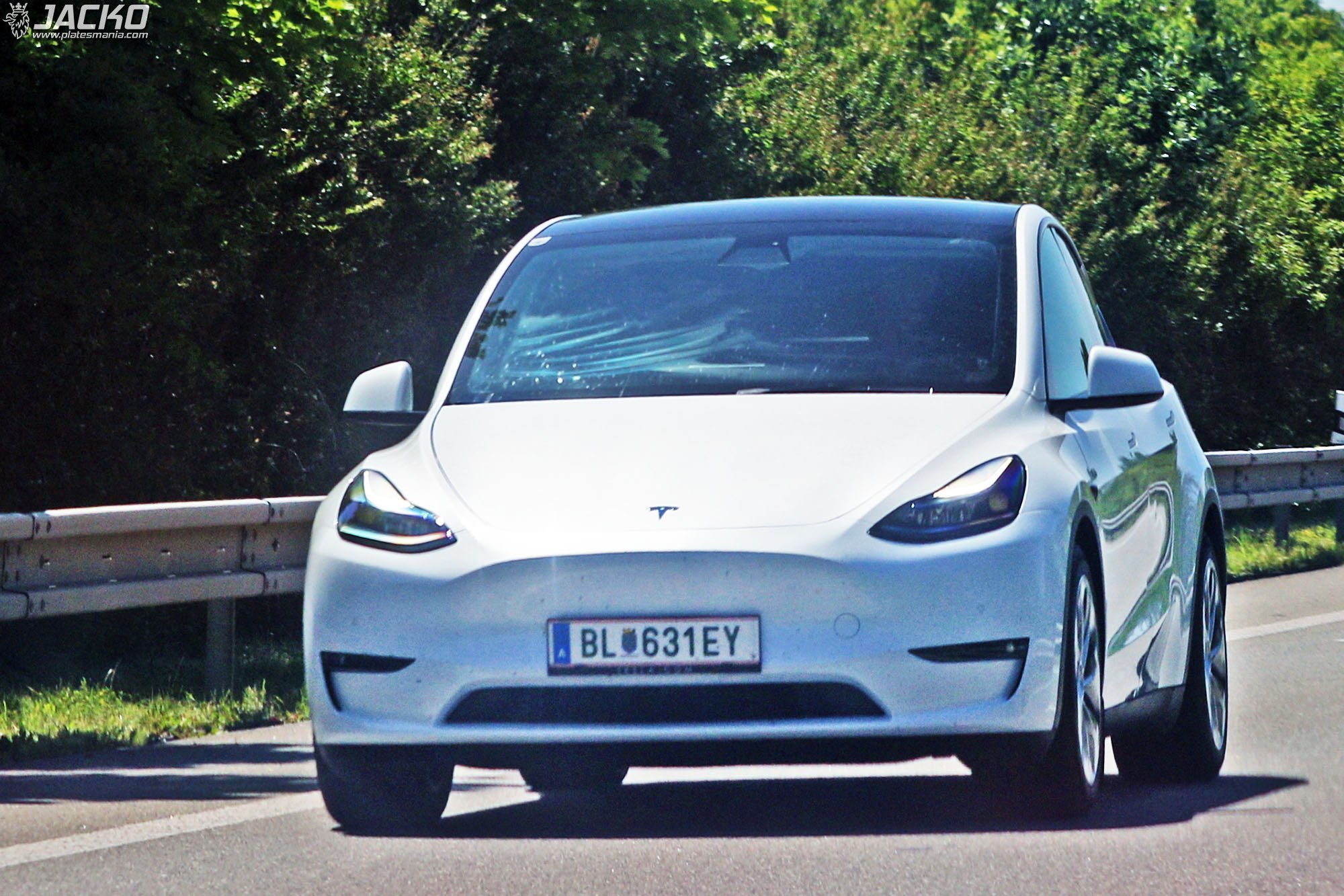 BL 631 EY, Tesla Model Y 1st gen (5YJY), 2020–2025