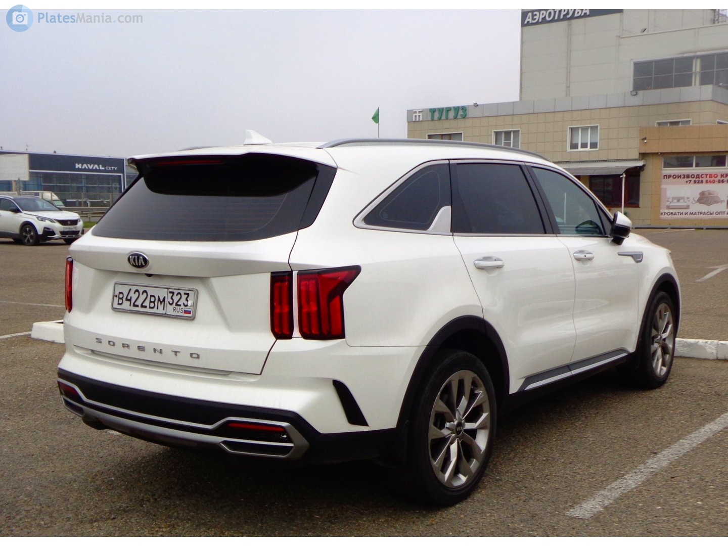 в 422 вм 323, Kia Sorento 4th gen (MQ4), 2020–2023