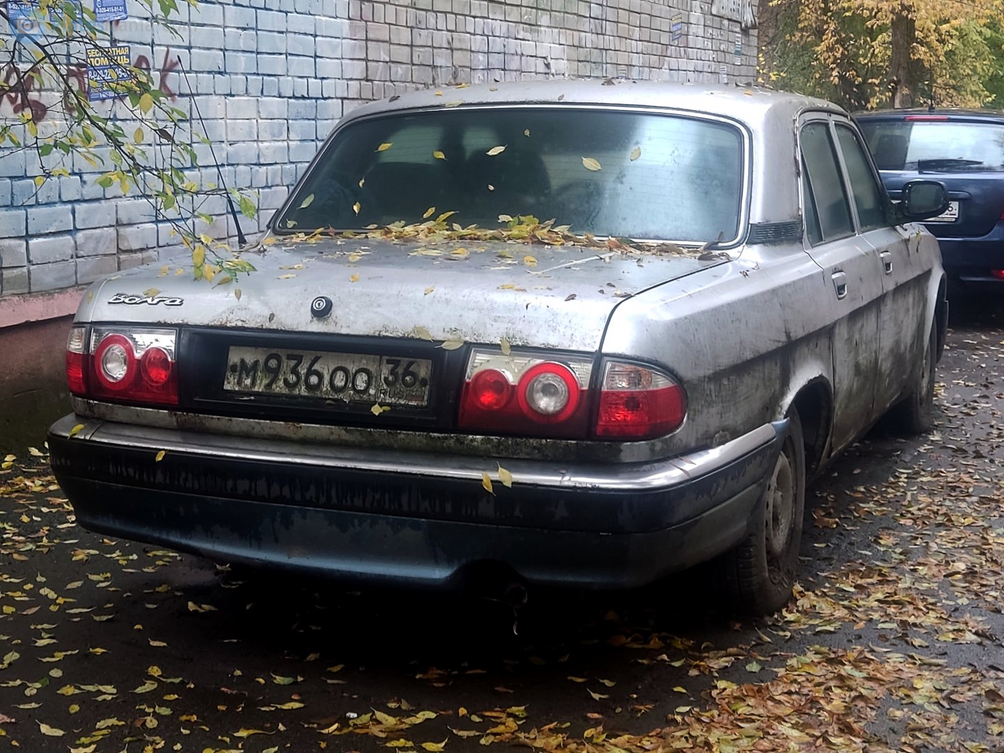 м 936 оо 36, GAZ 31105 Волга 31105 Sedan, 2004–2009