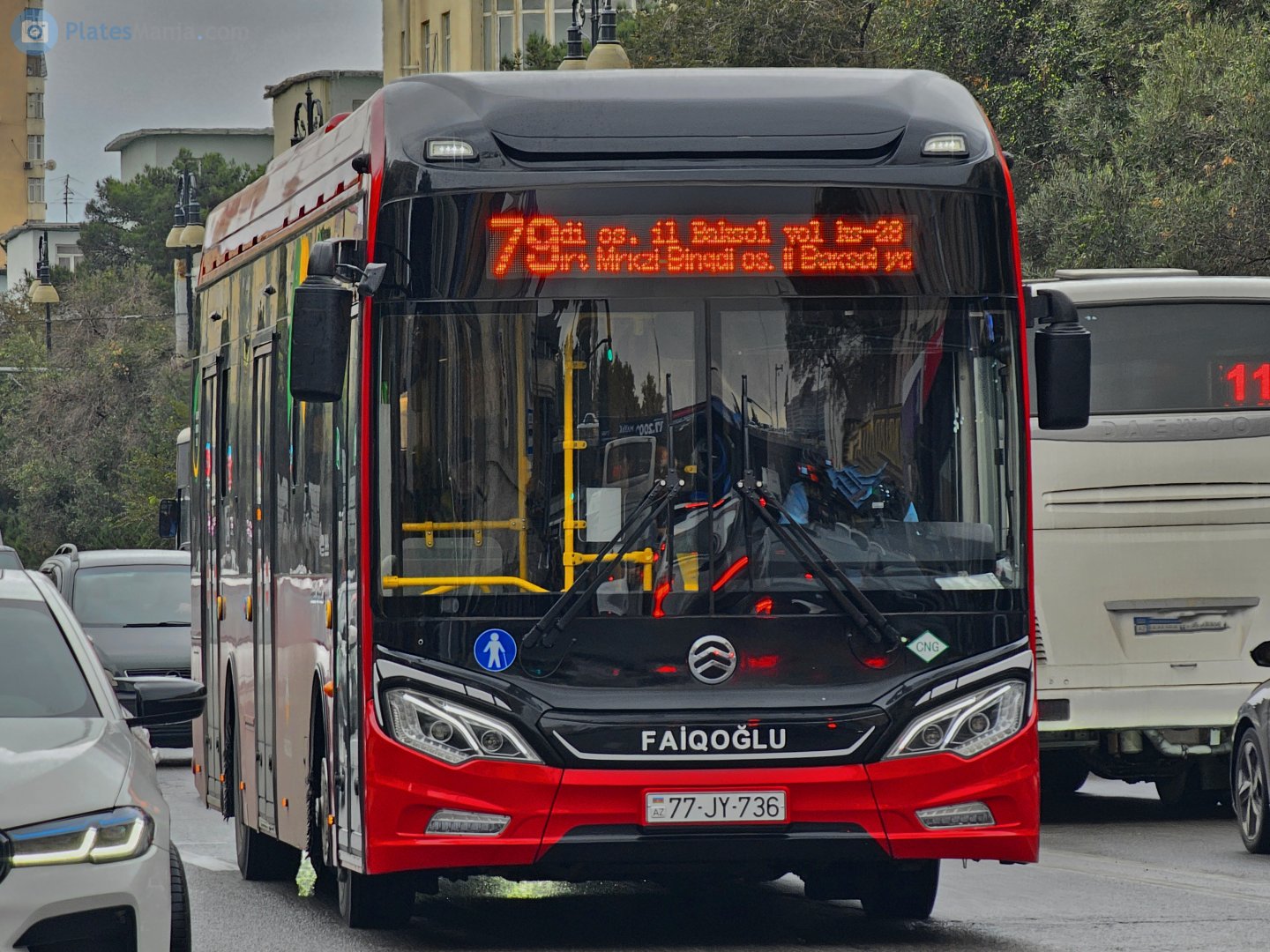 77 JY 736, Golden Dragon XML6125 