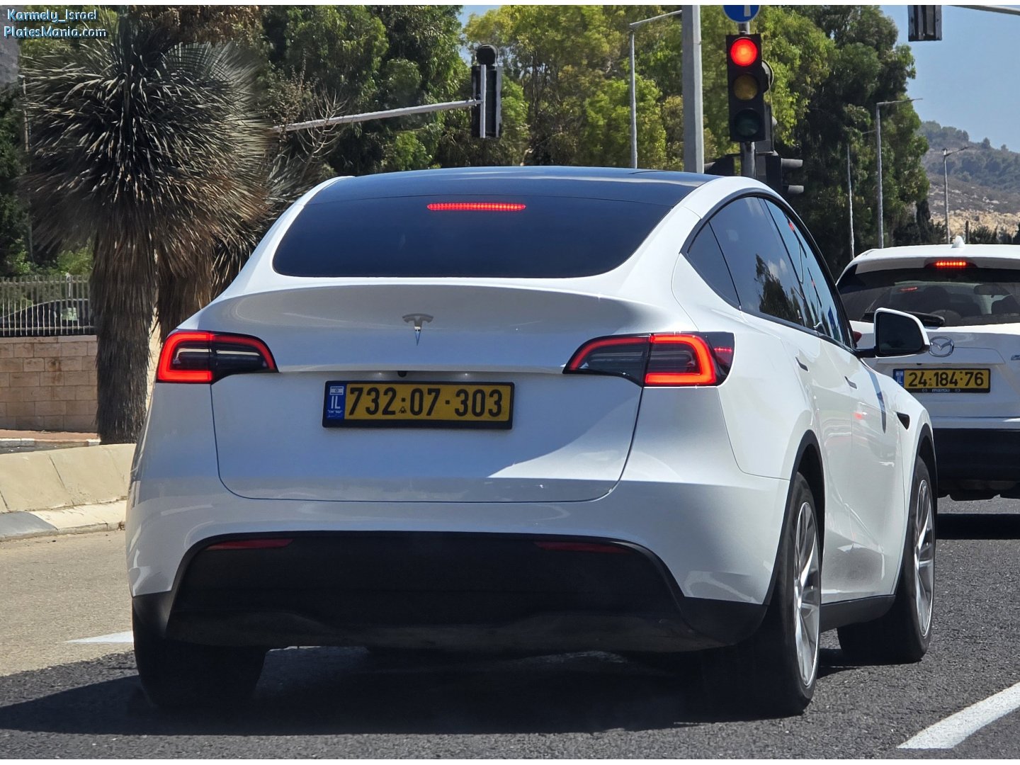 732-07-303, Tesla Model Y 1st gen (5YJY), 2020–2025