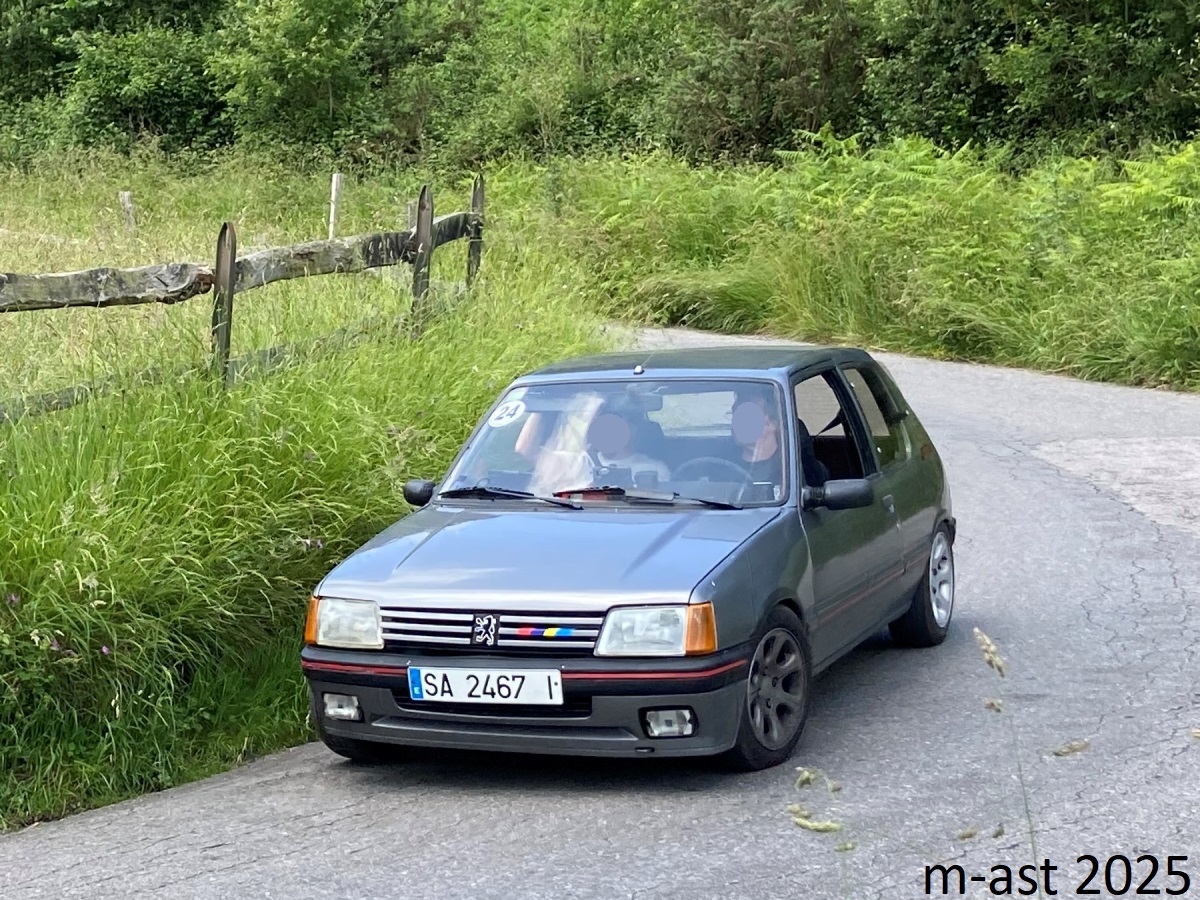 SA 2467 I, Peugeot 205 