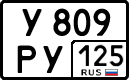 License plate Russia, Cars