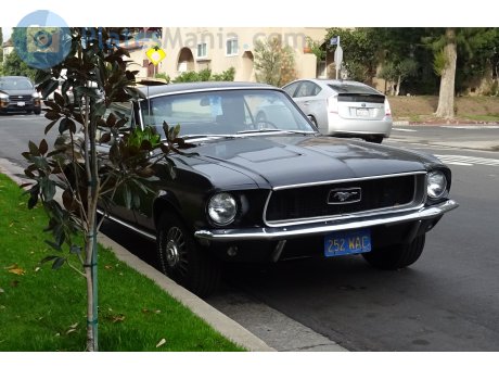 252 WAC, Ford Mustang