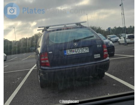 LM-403CM, Skoda Fabia