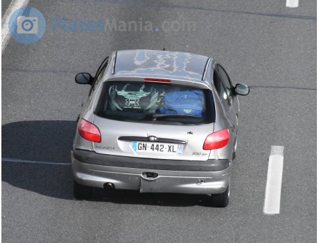 GN-442-XL, Peugeot 206