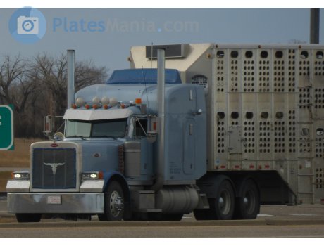 C-08523, Peterbilt 379
