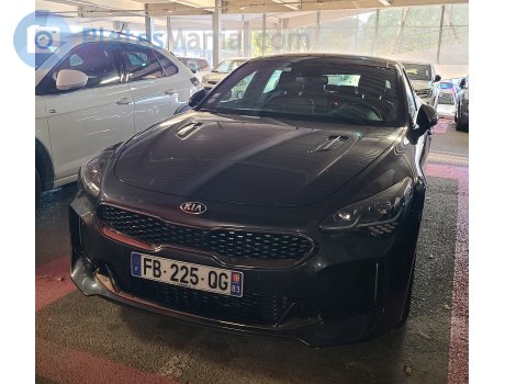 FB-225-QG, Kia Stinger