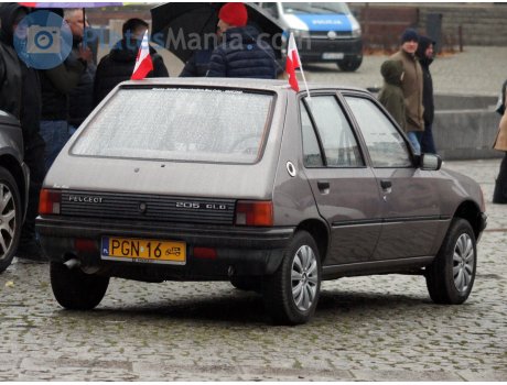 PGN 16, Peugeot 205