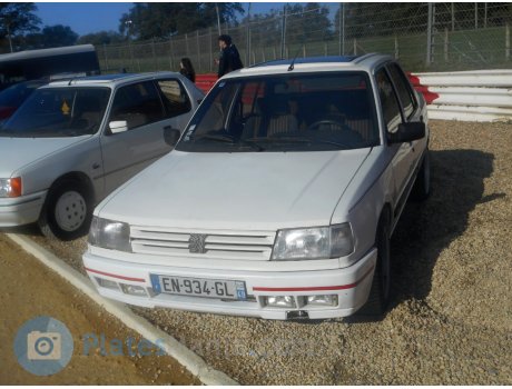 EN-934-GL, Peugeot 309