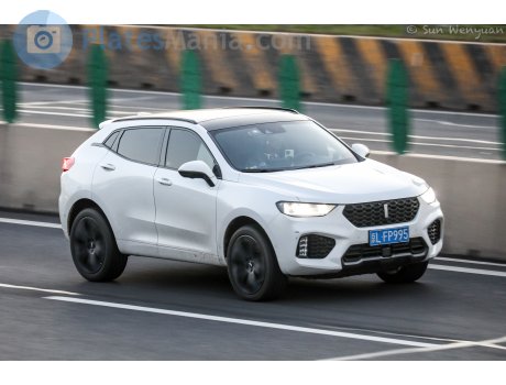 京L·FP995, WEY VV5