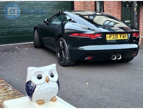 P321 FAR, Jaguar F-Type