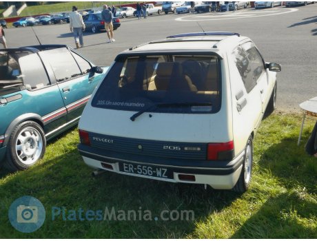 ER-556-WZ, Peugeot 205