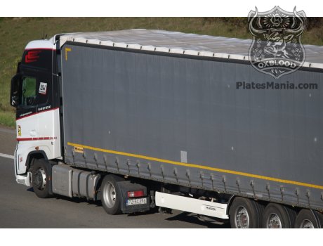 PZ 5C396, Ford F-Max