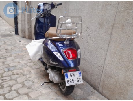 GN-895-GD, Vespa Primavera