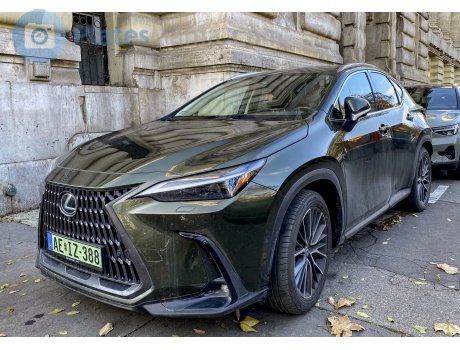 AE IZ-388, Lexus NX