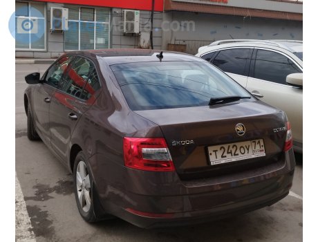 т242оу71, Skoda Octavia