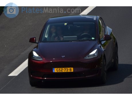 GSZ-73-B, Tesla Model Y