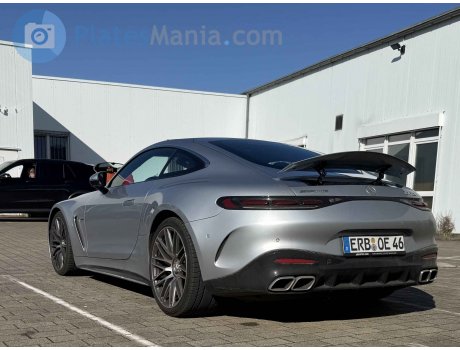 ERB OE 46, Mercedes-Benz AMG GT