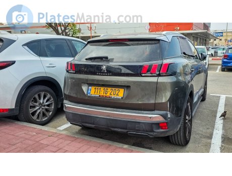 111-16-202, Peugeot 3008