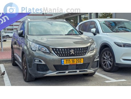 111-16-202, Peugeot 3008