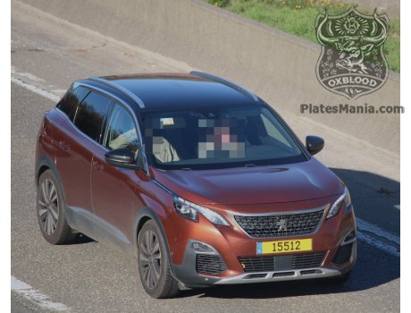 15512, Peugeot 3008
