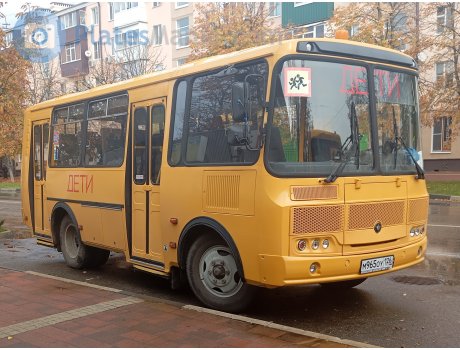 м965оу126, PAZ 3205