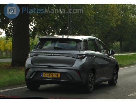 GGF-11-H, BYD Dolphin / Haitun