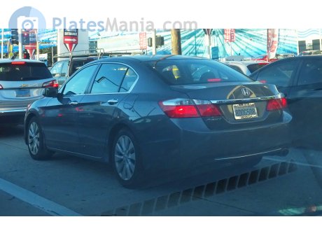 8DOG508, Honda Accord