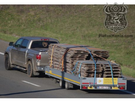 Q-ANZ-721, Eduard Trailers