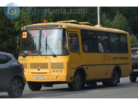 с600ее68, PAZ 3205