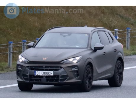 BI 388KR, Cupra Terramar