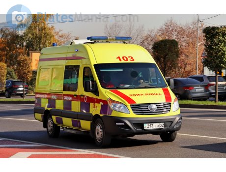 213 FQ 02, JAC Sunray