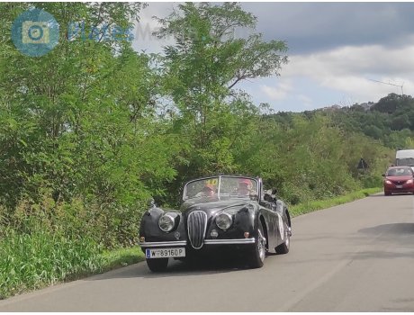 W 89160 P, Jaguar XK120