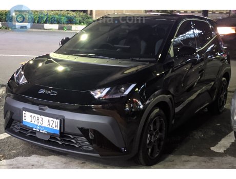 B 1983 AZW, BYD Dolphin Mini / Surf / Haiou / Seagull