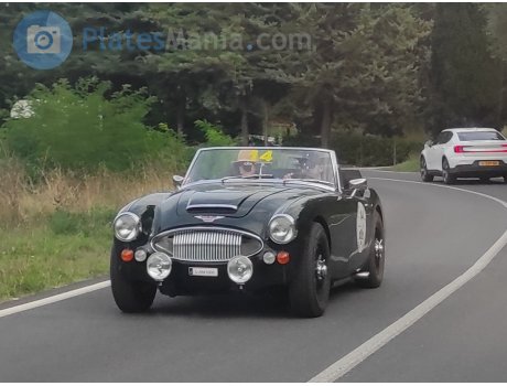 L AM 1000, Austin-Healey 100/3000