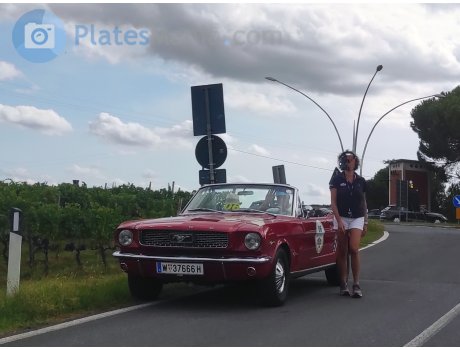 W 37666 H, Ford Mustang