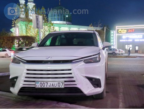 007 JAU 07, Lexus TX