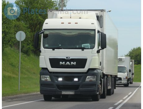 х294нв178, MAN TGX