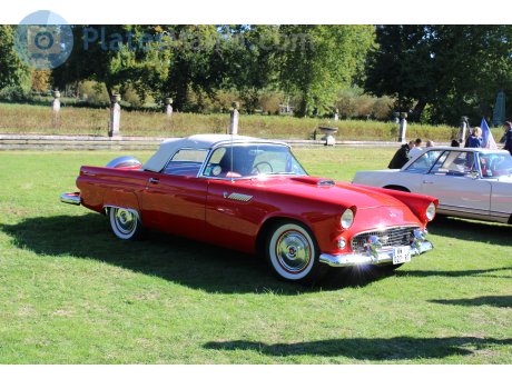 WW-027-RT, Ford Thunderbird