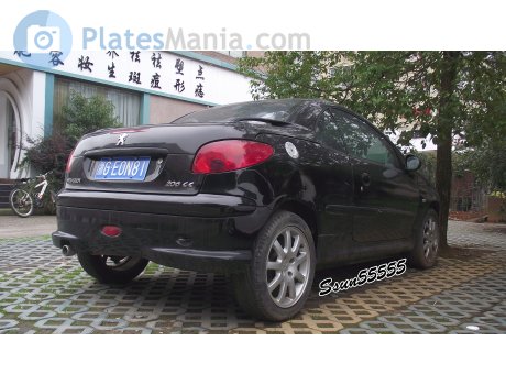 浙G·E0N81, Peugeot 206