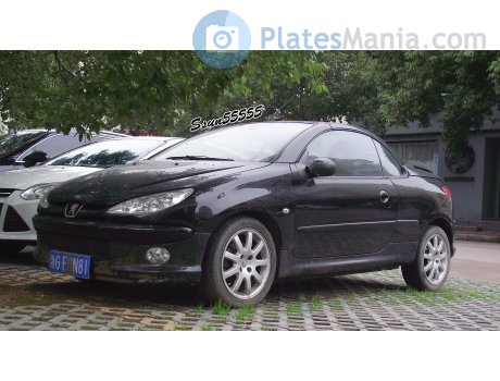浙G·E0N81, Peugeot 206