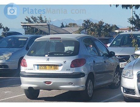 8596 TH 66, Peugeot 206