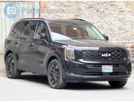 0594 WDD, Kia Telluride