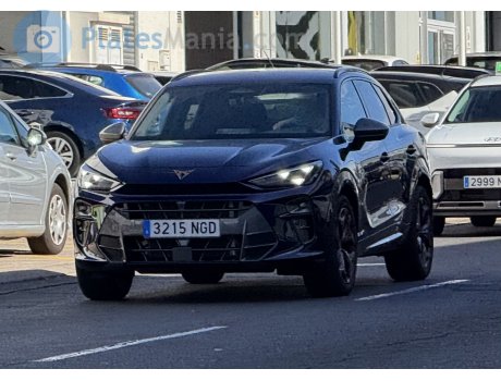 3215 NGD, Cupra Terramar