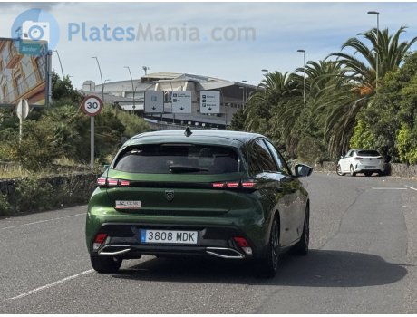 3808 MDK, Peugeot 308