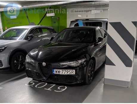 WW 779SR, Alfa Romeo Giulia