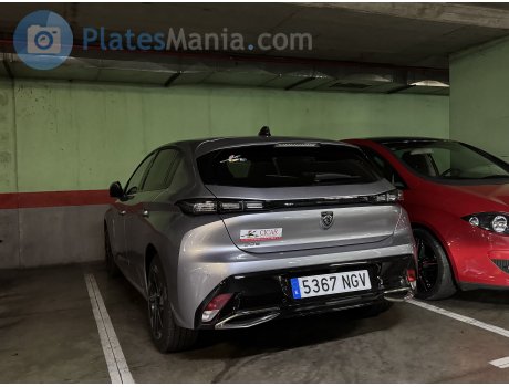 5367 NGV, Peugeot 308